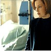 7x07c.jpg
