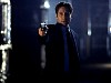 mulder9.jpg