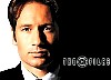 mulder_06.jpg