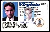 mulder_07.jpg