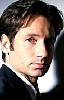 mulder_16.jpg
