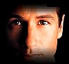 mulder_17.jpg