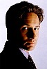 mulder_37.jpg