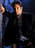 mulder_40.jpg