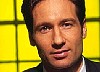 mulder_42.jpg