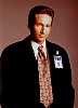 mulder_44.jpg