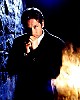 mulder_46.jpg