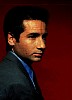 mulder_49.jpg