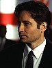 mulder_60.jpg