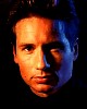 mulder_66.jpg