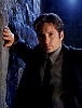mulder_72.jpg