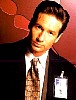 mulder_73.jpg