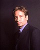 mulder_82.jpg