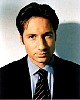 mulder_85.jpg