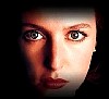 scully_19.jpg