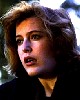 scully_34.jpg