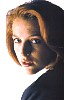scully_72.jpg
