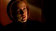 xfiles125.jpg