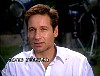 xfiles234.jpg