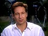 xfiles242.jpg