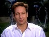 xfiles244.jpg