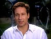xfiles245.jpg