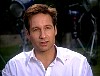 xfiles247.jpg