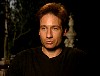 xfiles319.jpg