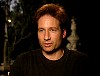 xfiles328.jpg