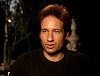 xfiles334.jpg