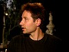 xfiles336.jpg