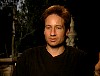 xfiles384.jpg