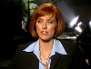 xfiles407.jpg