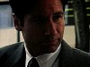 cap317.jpg