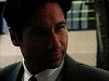 cap318.jpg