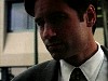 cap325.jpg