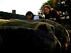 cap501.jpg