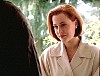 x-files172.jpg