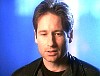 x-files353.jpg