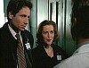 x-files440.jpg