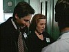 x-files445.jpg