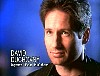x-files452.jpg