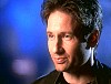 x-files454.jpg