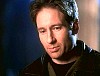 x-files500.jpg