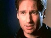 x-files508.jpg