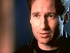 x-files511.jpg