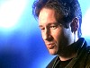 x-files519.jpg