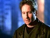 x-files528.jpg