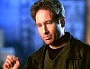 x-files530.jpg