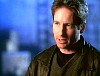 x-files531.jpg